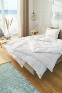 couette duvet d'oie gazendons